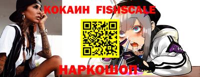 a pvp Новозыбков