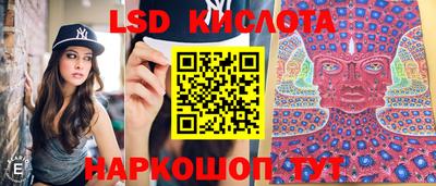 a pvp Новозыбков