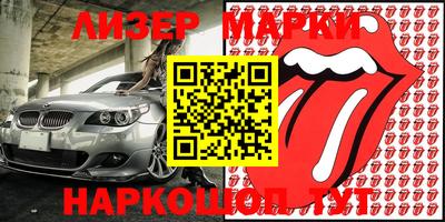 a pvp Новозыбков