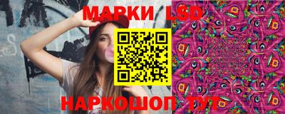 a pvp Новозыбков