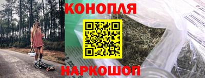 a pvp Новозыбков