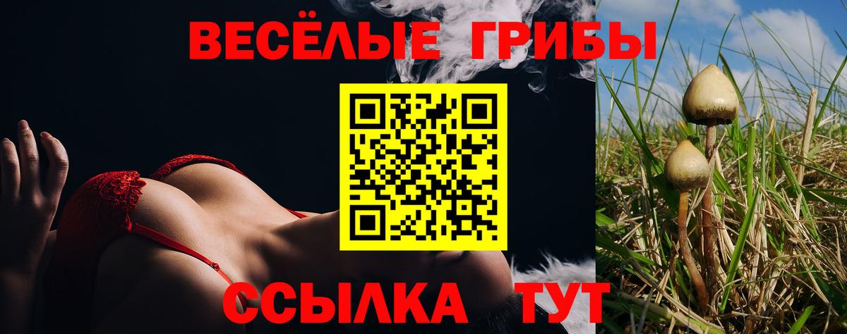 купить закладку  Галлюциногенные грибы мицелий  Галлюциногенные грибы Psilocybine cubensis  Вход с VPN  Орск 